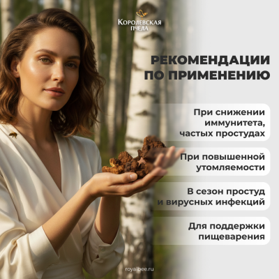 АПИ-БЕФУНГИН, 60 капсул